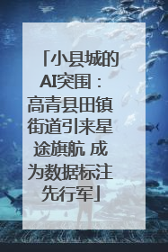 小县城的AI突围：高青县田镇街道引来星途旗航 成为数据标注先行军